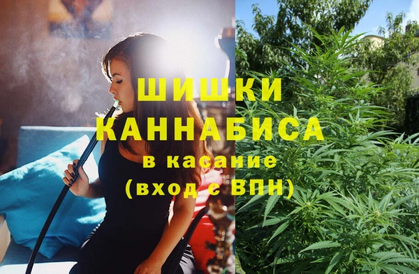mdpv Кодинск