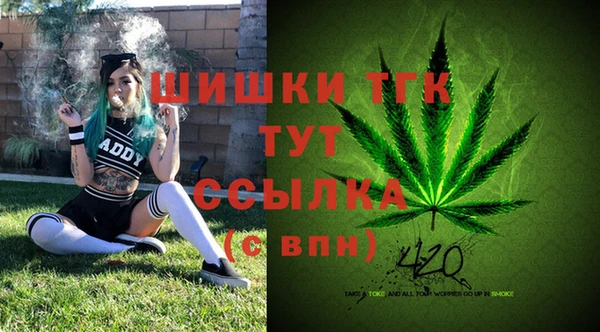 твердый Алзамай