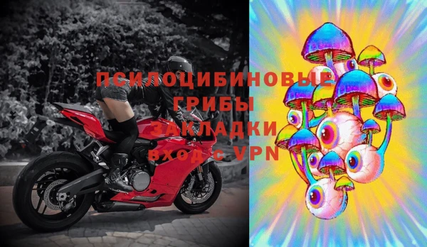 мяу мяу мука Абаза