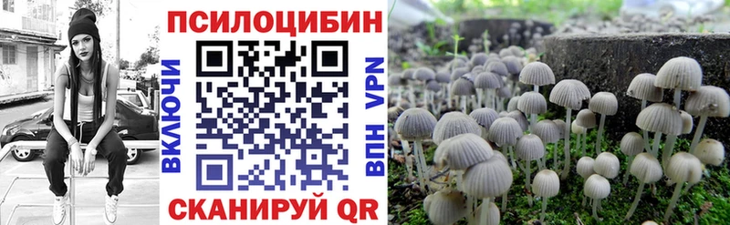 blacksprut онион  купить закладку  Вилюйск  Галлюциногенные грибы Cubensis 